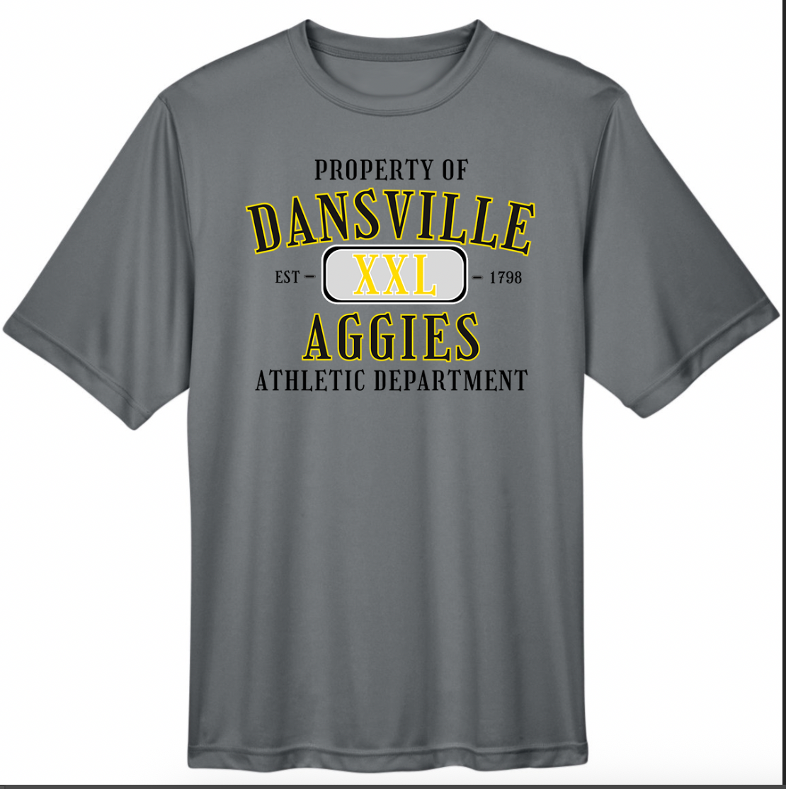 Dansville Youth T-Shirts - Multiple Designs