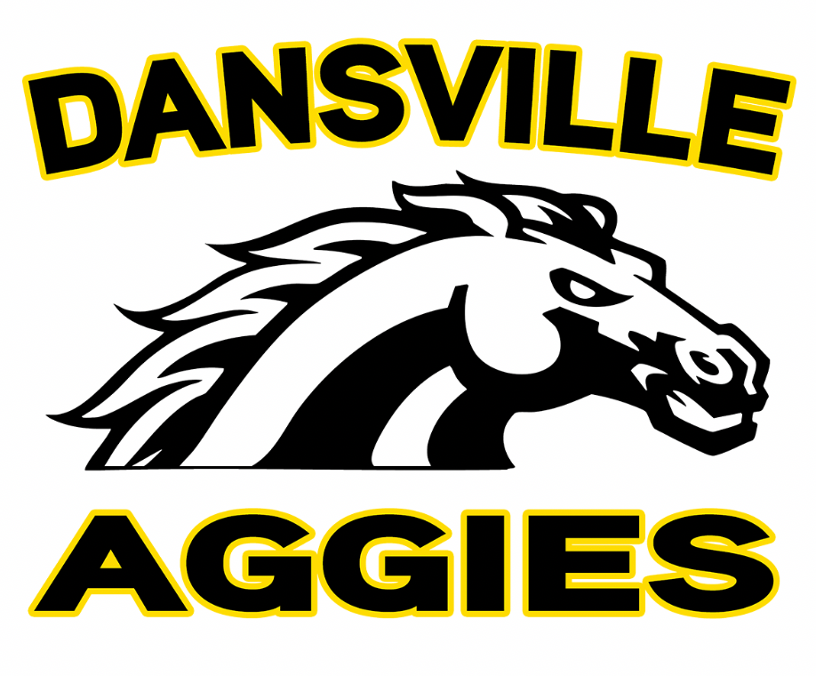 Dansville Hoodie – Various Designs