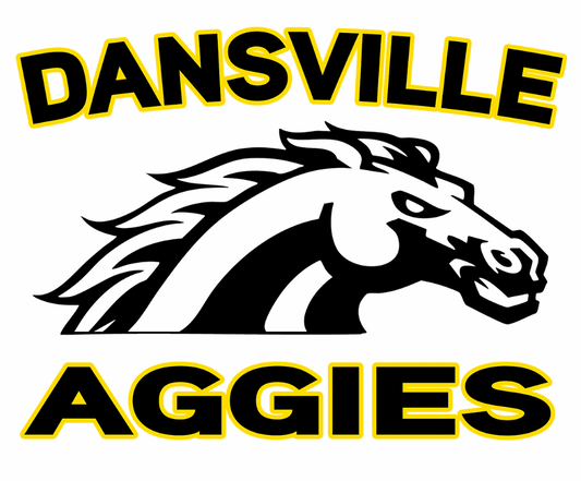 Dansville Hoodie – Various Designs