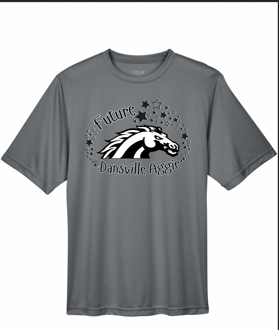 Dansville Youth T-Shirts - Multiple Designs