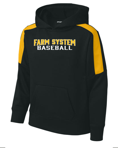 Black and Gold Hoodie Adult/Youth