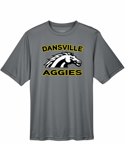 Dansville Youth T-Shirts - Multiple Designs