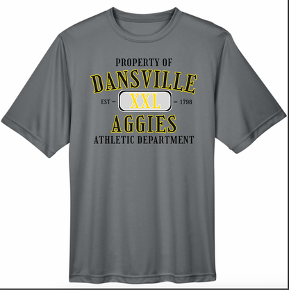 Dansville Youth T-Shirts - Multiple Designs